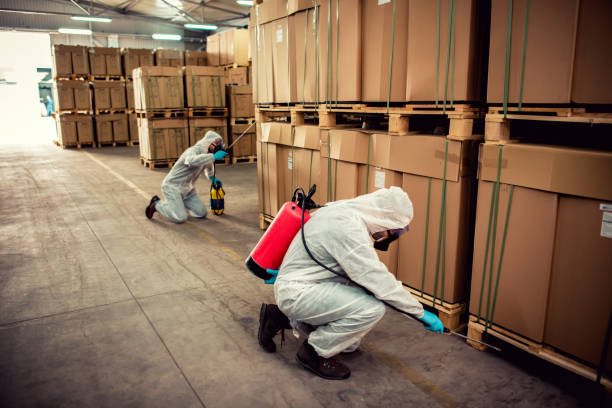 Best Best Pest Control Companies  in Hays, MT