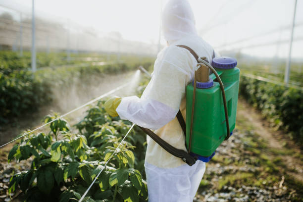 Best Bed Bug Extermination  in Hays, MT